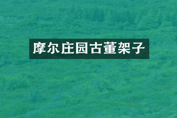摩尔庄园古董架子