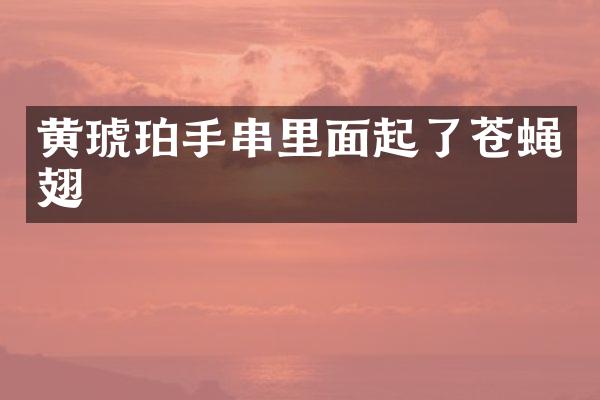 黄琥珀手串里面起了苍蝇翅
