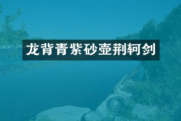 龙背青紫砂壶荆轲剑