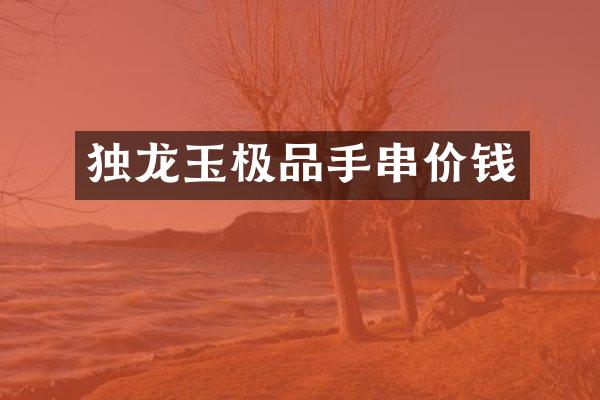 独龙玉手串价钱