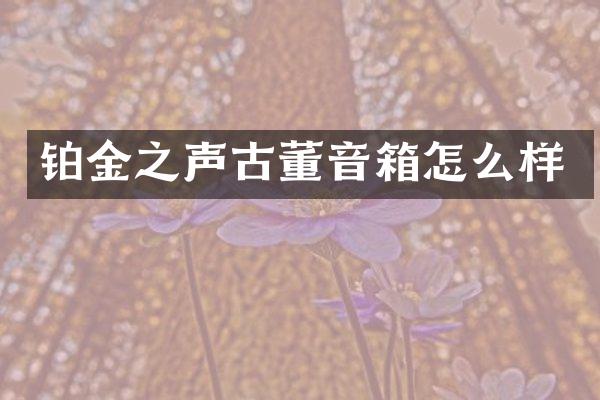 铂金之声古董音箱怎么样
