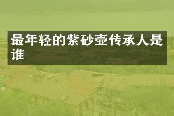 最年轻的紫砂壶传承人是谁