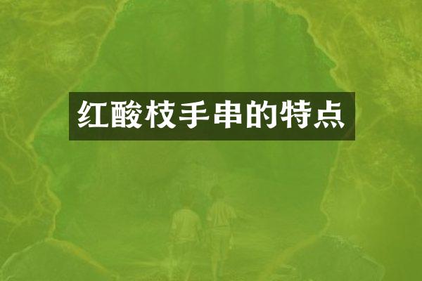 红酸枝手串的特点