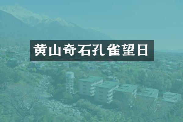 黄山奇石孔雀望日