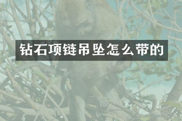 钻石项链吊坠怎么带的