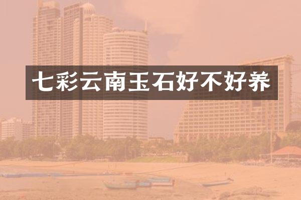 七彩云南玉石好不好养