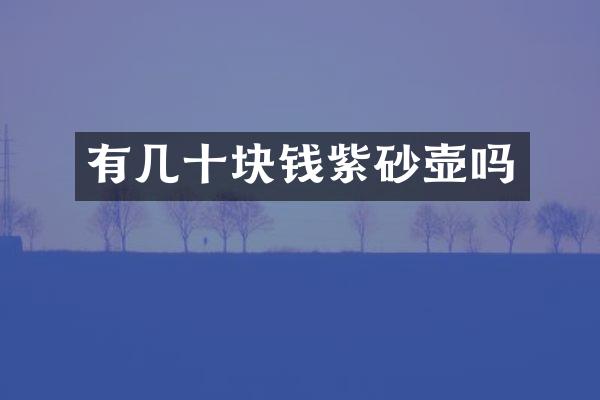 有几十块钱紫砂壶吗