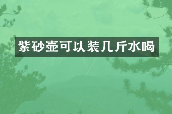 紫砂壶可以装几斤水喝