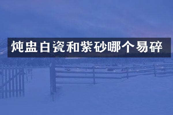 炖盅白瓷和紫砂哪个易碎