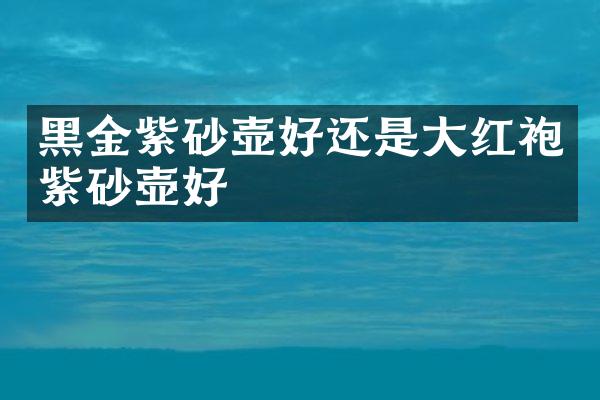 黑金紫砂壶好还是大红袍紫砂壶好