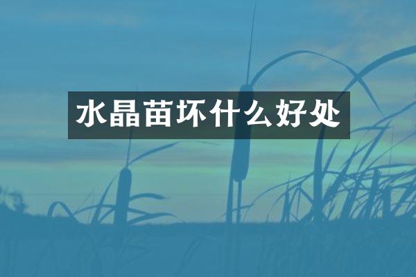 水晶苗坏什么好处