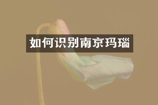 如何识别南京玛瑙