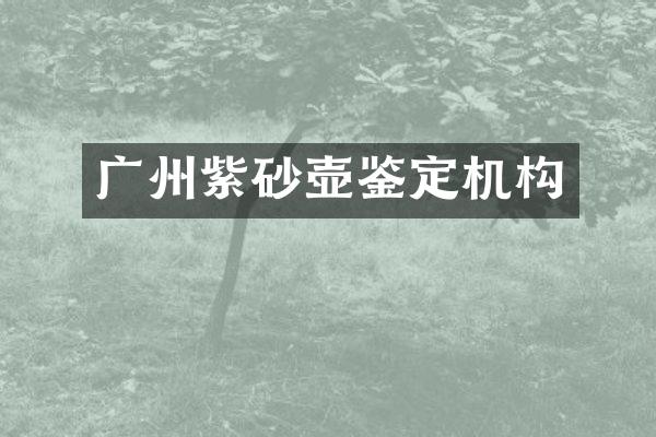 广州紫砂壶鉴定机构