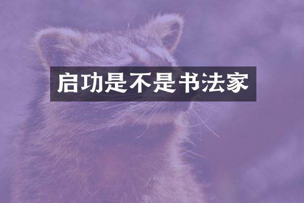 启功是不是书法家