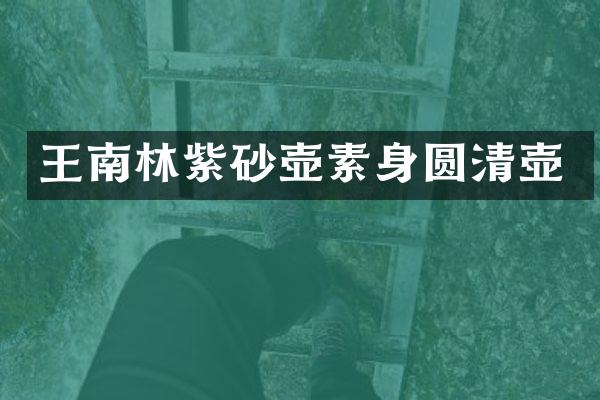 王南林紫砂壶素身圆清壶