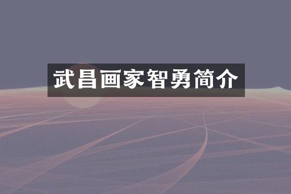 武昌画家智勇简介