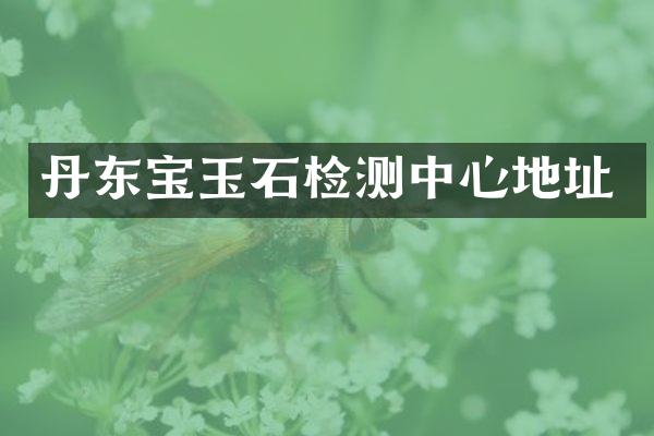 丹东宝玉石检测中心地址