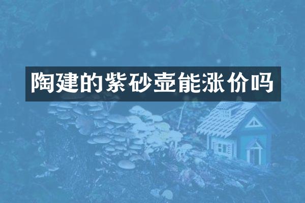 陶建的紫砂壶能涨价吗