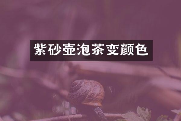 紫砂壶泡茶变颜色