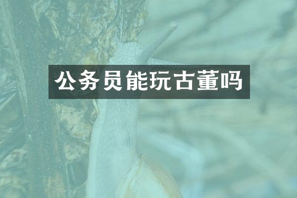 公务员能玩古董吗