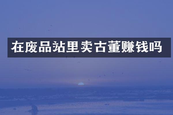 在废品站里卖古董赚钱吗