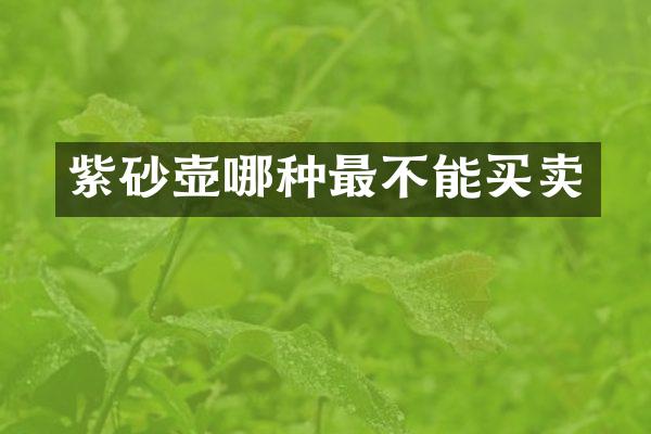 紫砂壶哪种最不能买卖