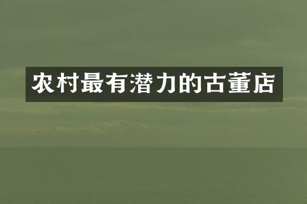 农村最有潜力的古董店