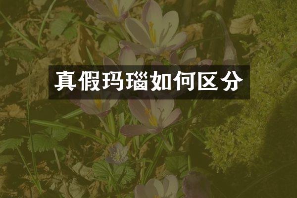 真假玛瑙如何区分