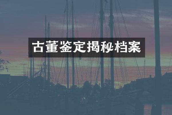 古董鉴定揭秘档案