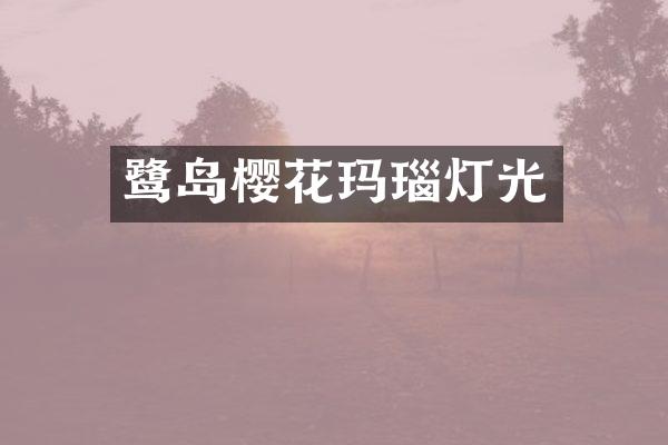 鹭岛樱花玛瑙灯光