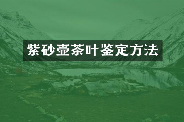 紫砂壶茶叶鉴定方法
