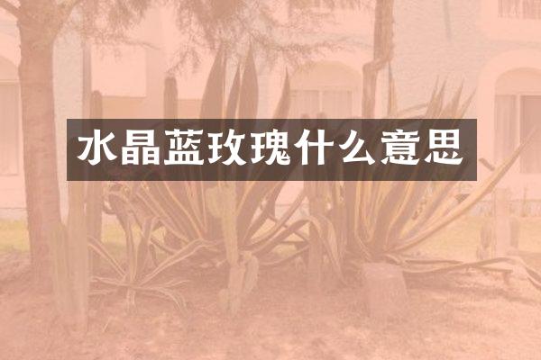 水晶蓝玫瑰什么意思
