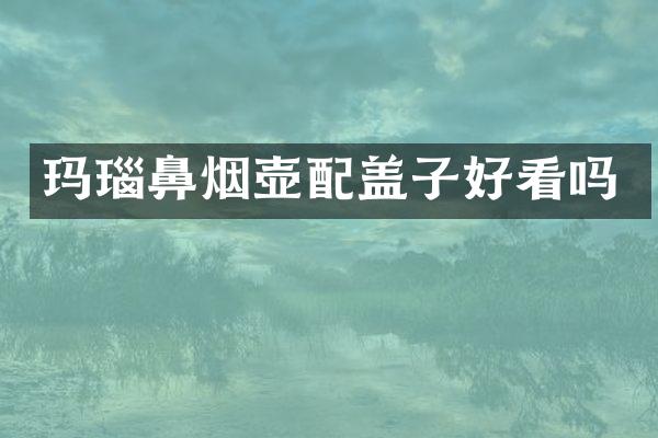 玛瑙鼻烟壶配盖子好看吗