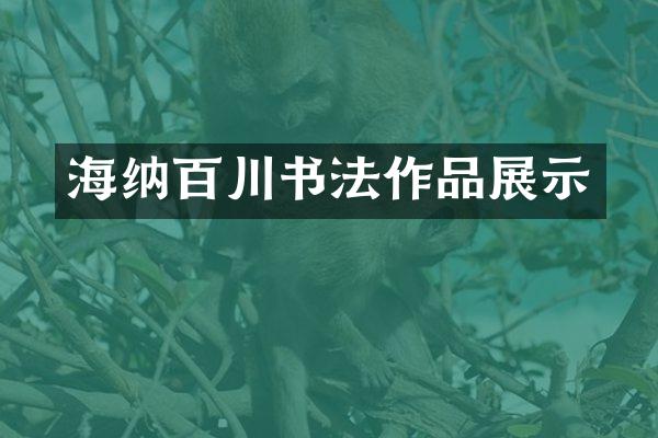 海纳百川书法作品展示