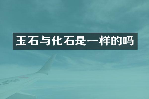 玉石与化石是一样的吗