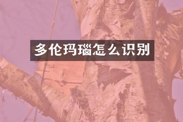 多伦玛瑙怎么识别