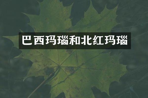 巴西玛瑙和北红玛瑙