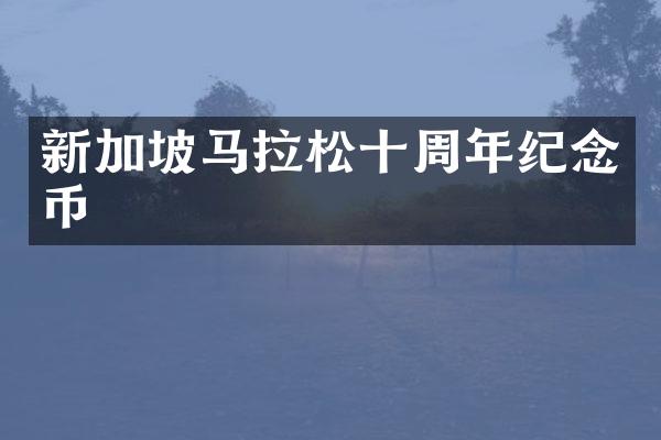 新加坡马拉松十周年纪念币