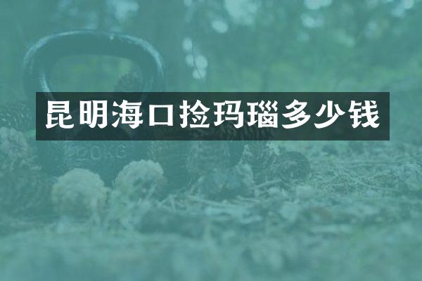 昆明海口捡玛瑙多少钱