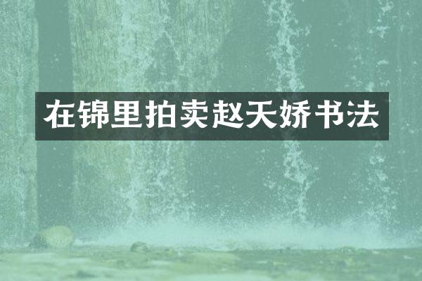 在锦里拍卖赵天娇书法