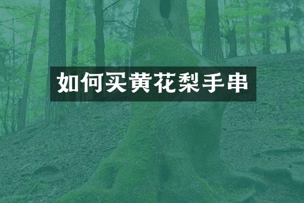 如何买黄花梨手串