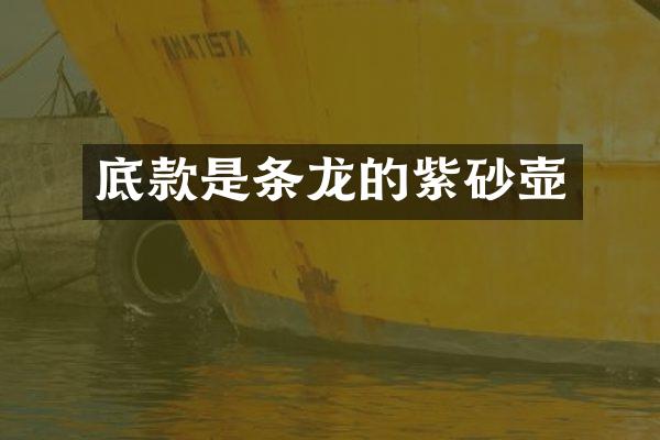 底款是条龙的紫砂壶