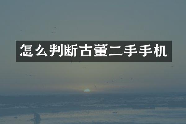 怎么判断古董二手手机