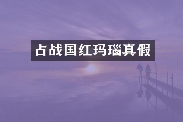 占战国红玛瑙真假