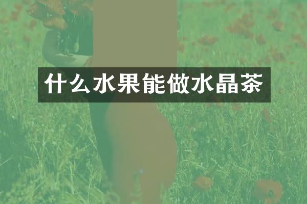 什么水果能做水晶茶