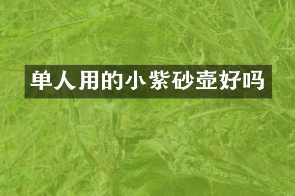 单人用的小紫砂壶好吗