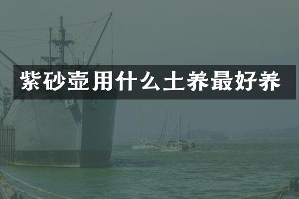 紫砂壶用什么土养最好养