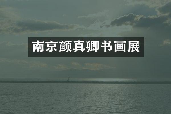 南京颜真卿书画展