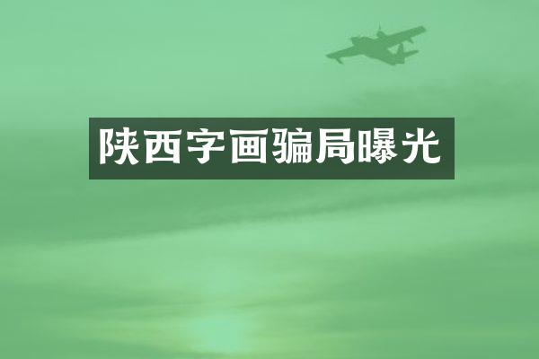 陕西字画骗局曝光