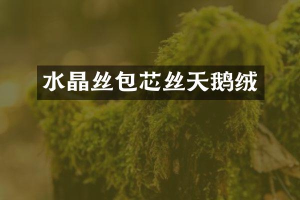 水晶丝包芯丝天鹅绒